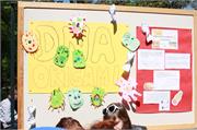 Copy of IMG_4713